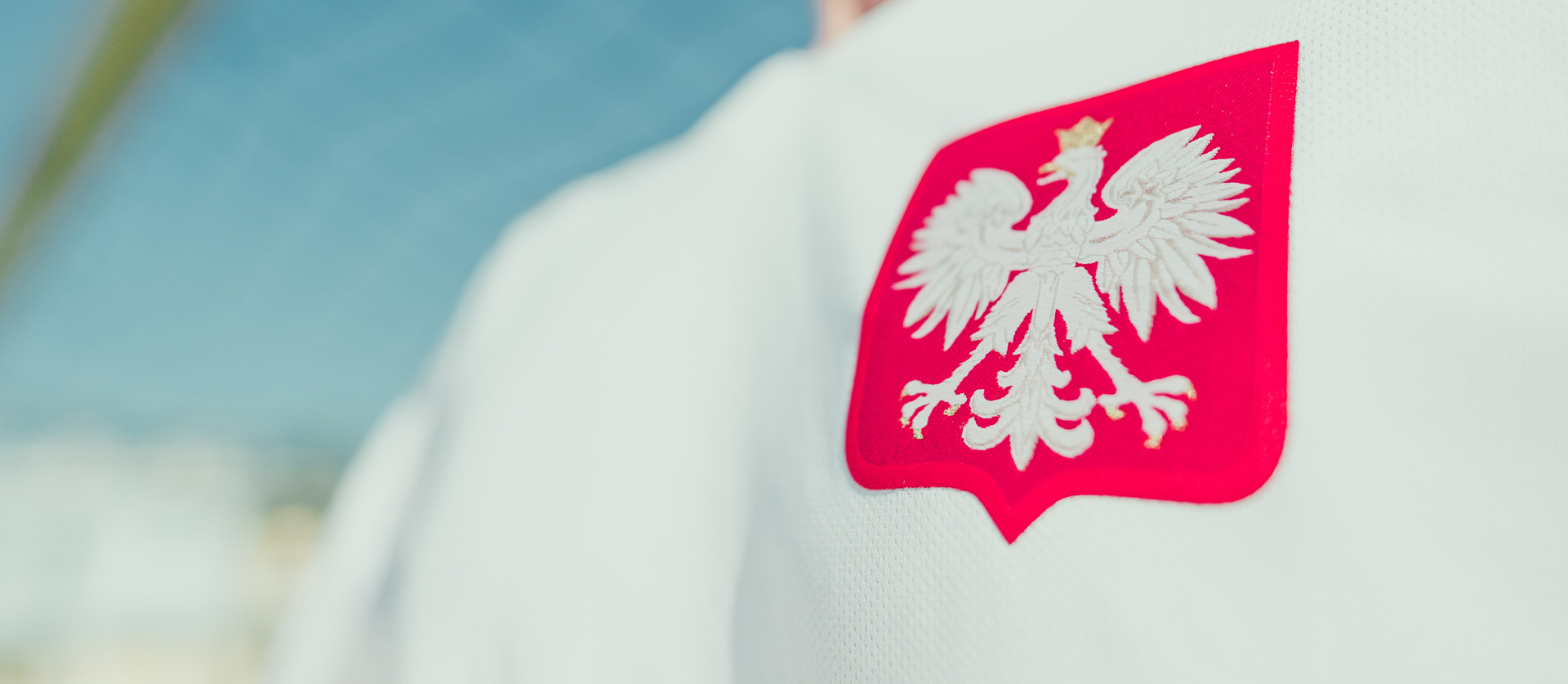 Zespół Parlamentarny: duallogic, item id CFSKNYU.